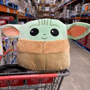 Meet your Posher, Jodi